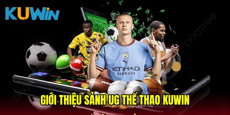 UG thể thao KUWIN - Chinh phục sân chơi sống động, đẳng cấp 2025 8 Sảnh UG thể thao KUWIN được đánh giá cực kỳ đầu tư